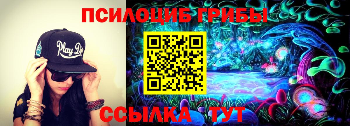 Галлюциногенные грибы ЛСД Новокуйбышевск